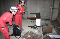 /album/fotogaleria-rony/picture-065-jpg/